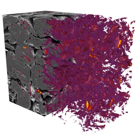 3D FIB-SEM 和 3D ToF-SIMS 斷層掃描 Li 在陽極中的分佈